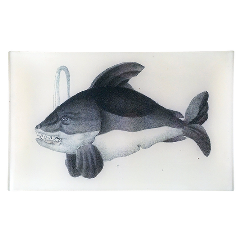 Orca Killer Whale - FINAL SALE