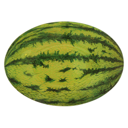 Watermelon - FINAL SALE