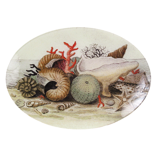 Shells, circa 1755 - FINAL SALE