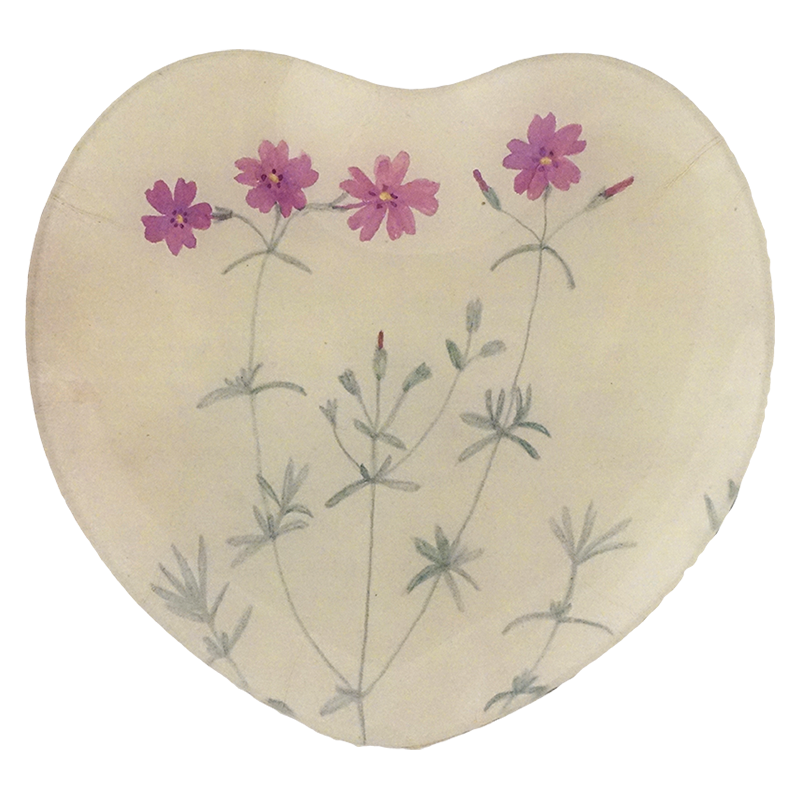 Moss Pink