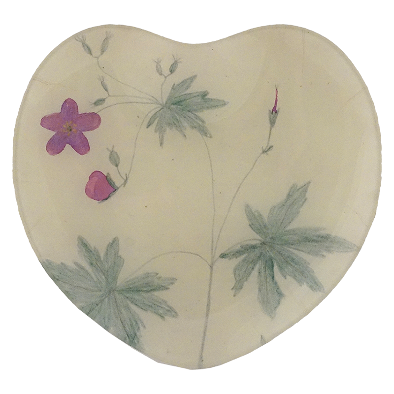 Wild Geranium