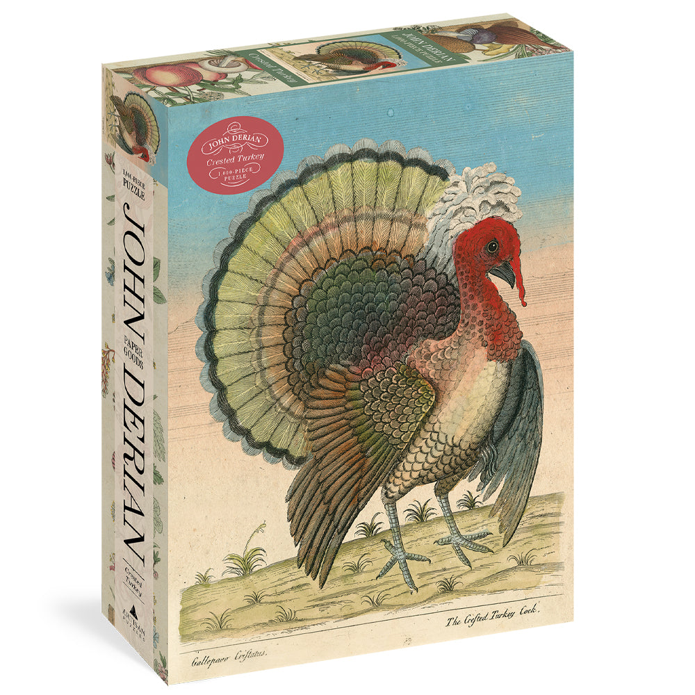 Crested Turkey