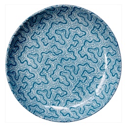 Blue Coral Soup Plate
