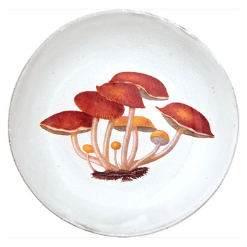 Agaric Amer Soup Bowl