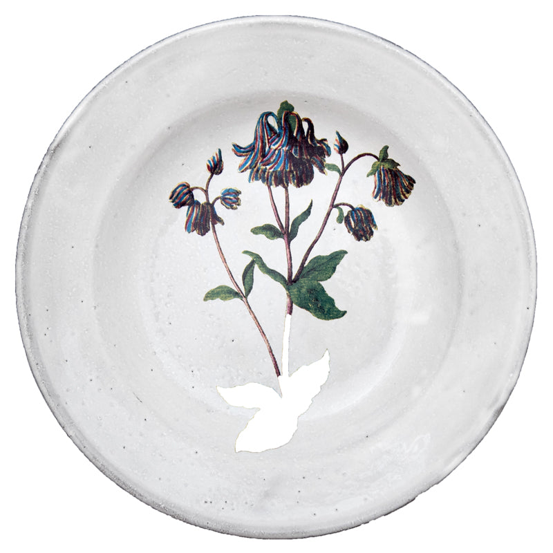 Columbine Soup Plate - John Derian Company Inc