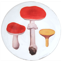 Red Mushrooms Dinner Plate