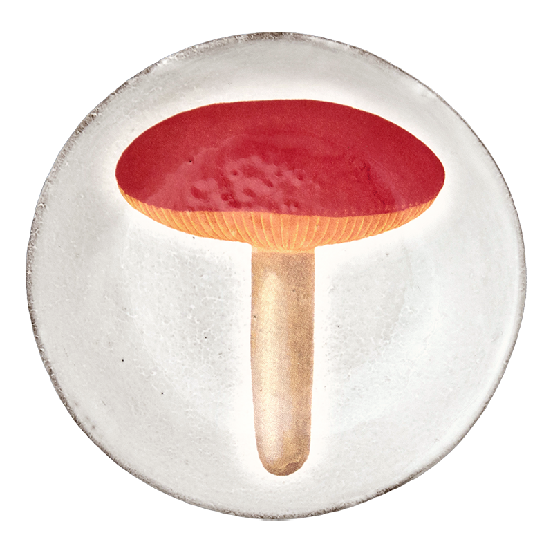 Agaric Alutace Plate