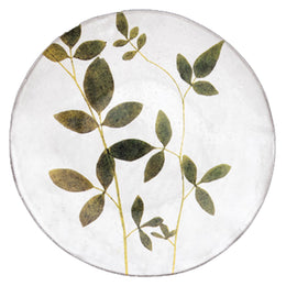 Jasminum Plate