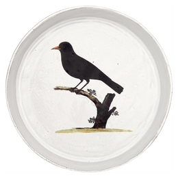 Blackbird Dish
