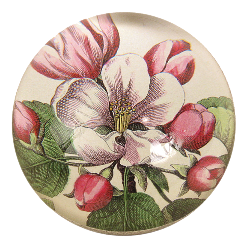Beach Rose handmade decoupage dome paperweight 
