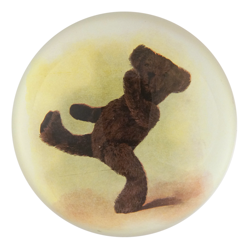 Bear: One Foot Up