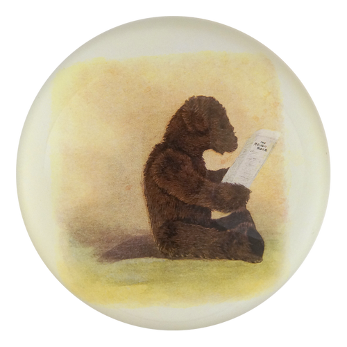 Bear: Reading