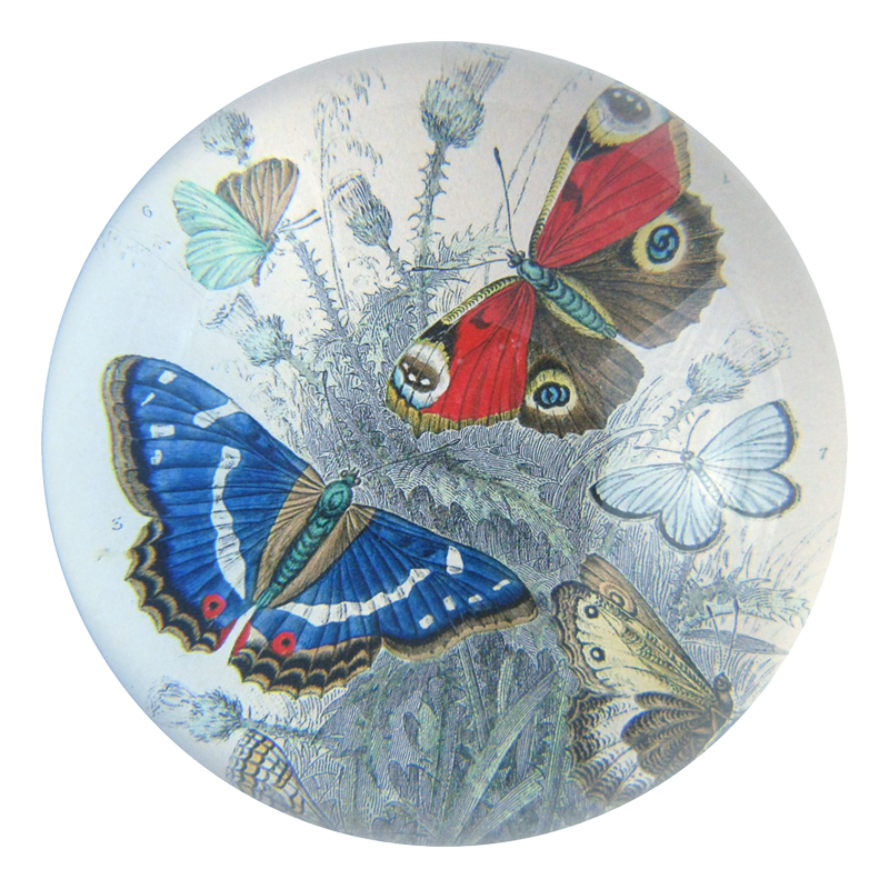 Butterflies