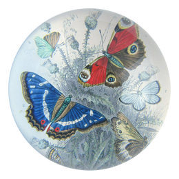 A handmade decoupage sale dome paperweight titled Butterflies