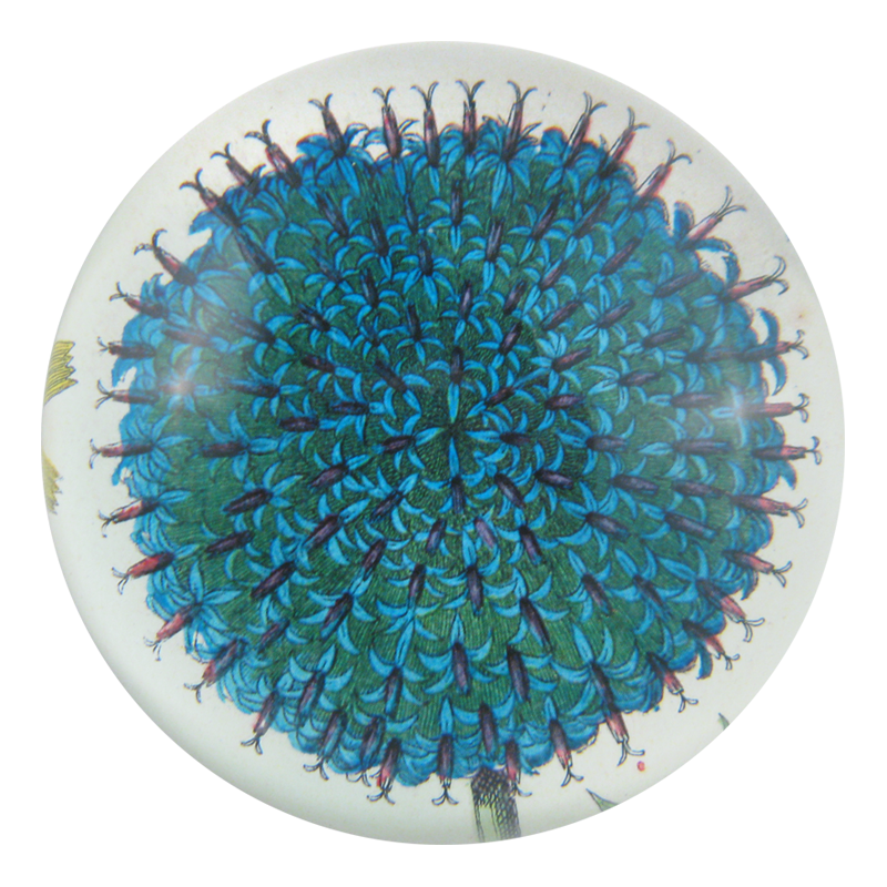 Blue Flower