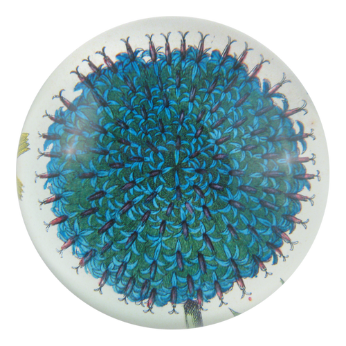 Blue Flower - FINAL SALE