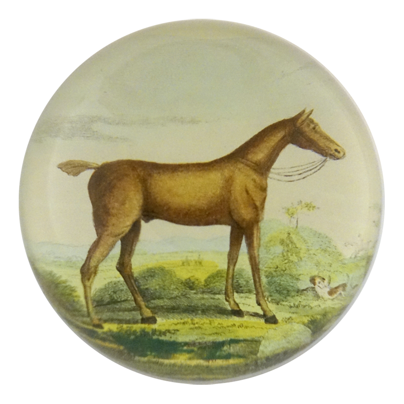 Brown Horse