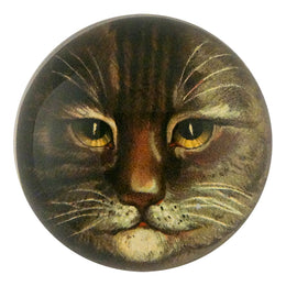 Country Cat - FINAL SALE