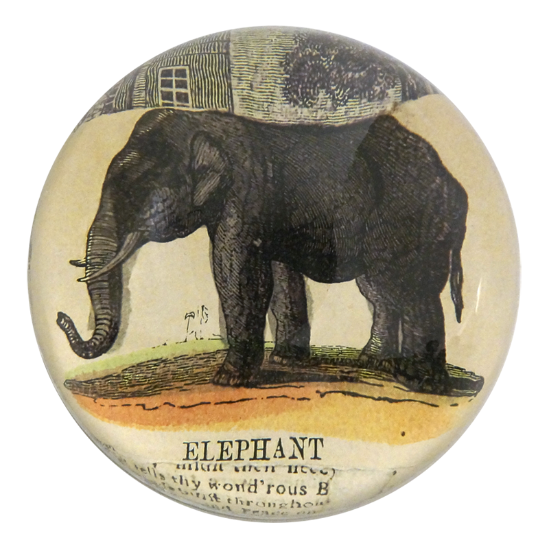 Elephant Collage