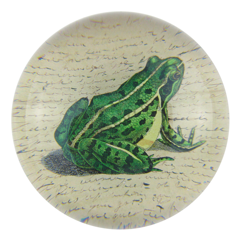 Frog Prince