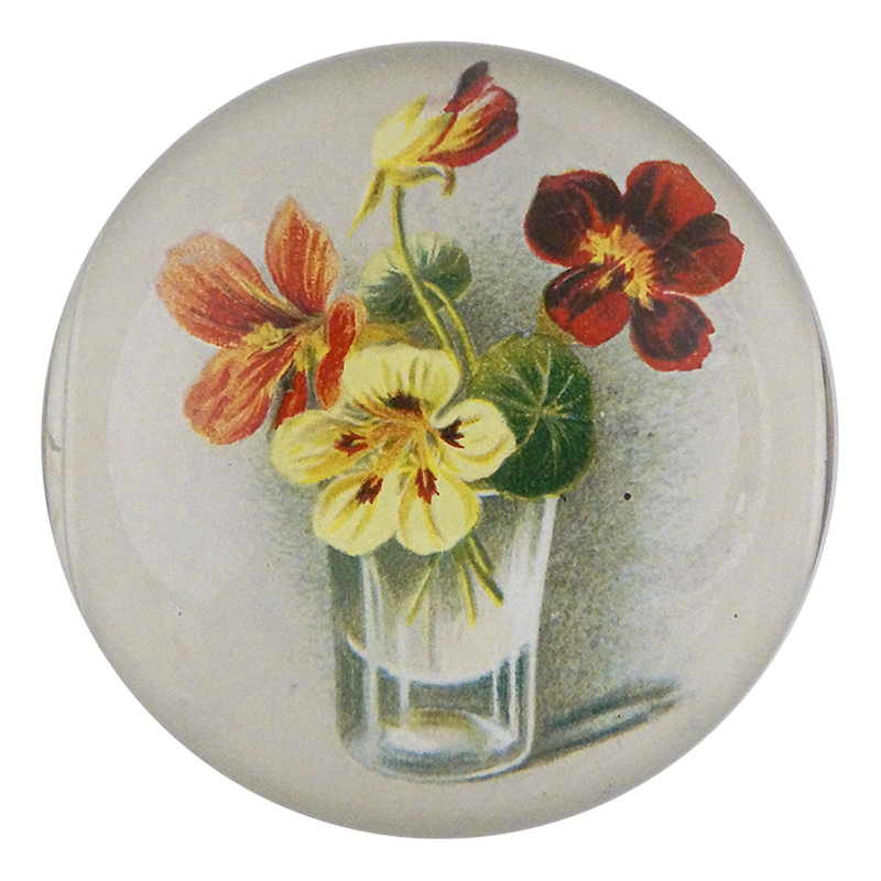 Glass of Nasturtium