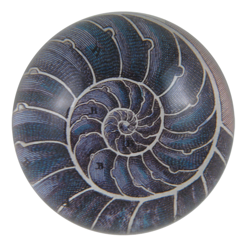 Nautilus handmade decoupage dome paperweight