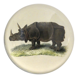 Rhino - FINAL SALE