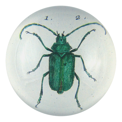 Scarab (Green Beetle)