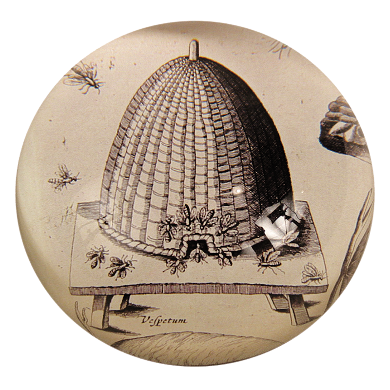 Apiarum (Beehive)