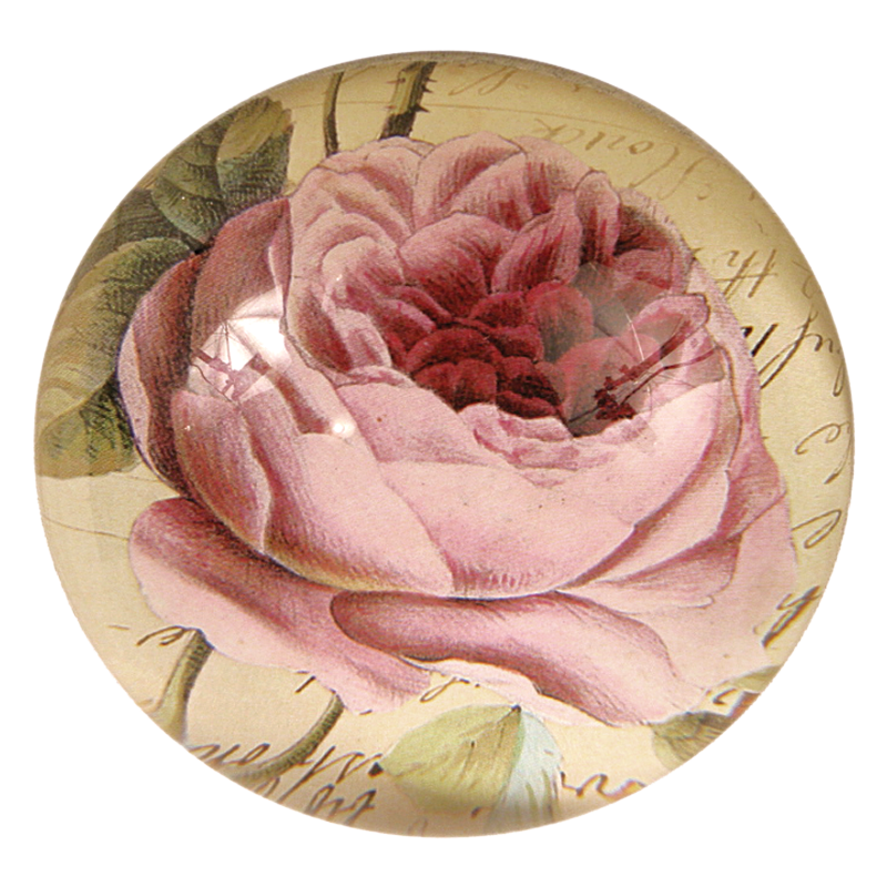 Cabbage Rose