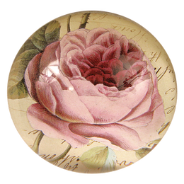 Cabbage Rose