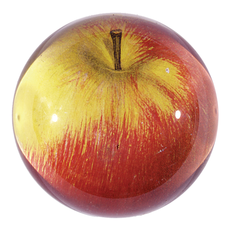 Apple (Red)
