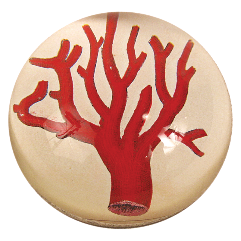 Glass Paperweight 1984