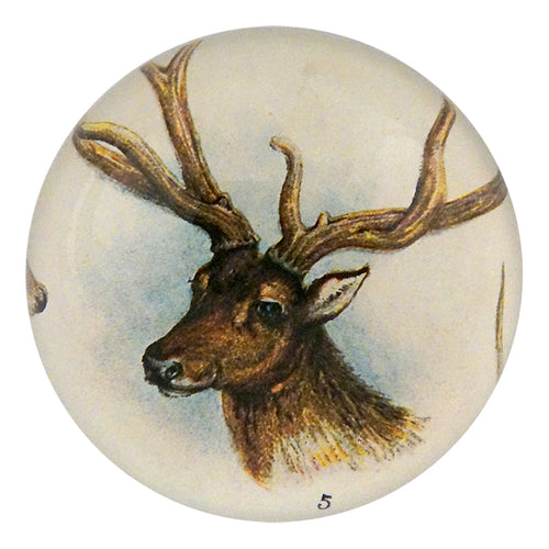 11 Tipped Deer - FINAL SALE