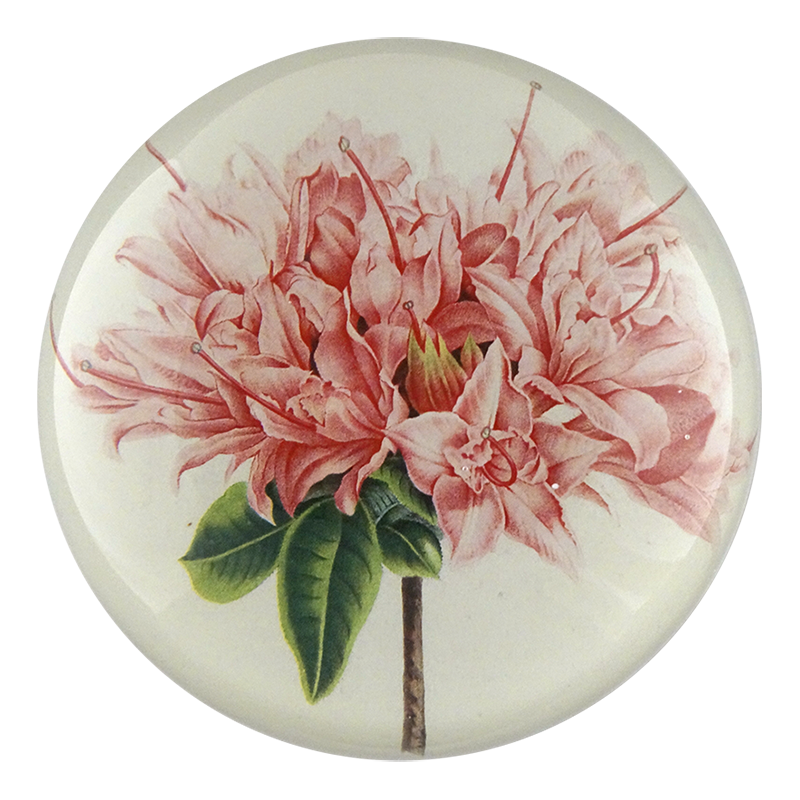 Azalea Taye