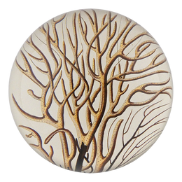 Coral (Gorgonia Antipathes)  - FINAL SALE
