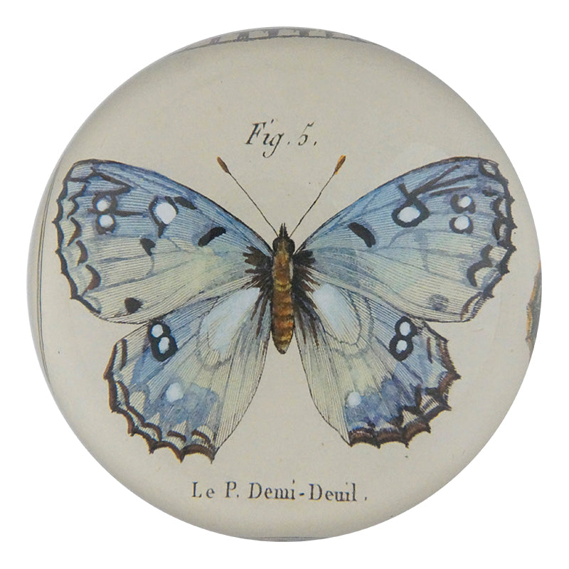 Fig. 5 Butterfly