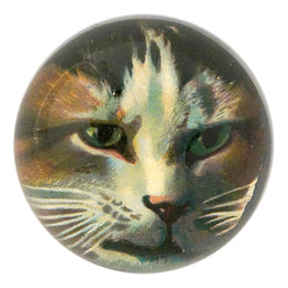 Jack Cat - FINAL SALE