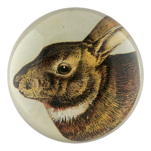 Scrapbook Hare