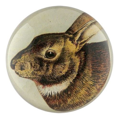 Scrapbook Hare  - FINAL SALE
