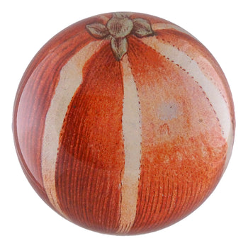 Striped Orange