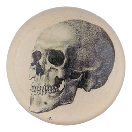 The Skull - FINAL SALE