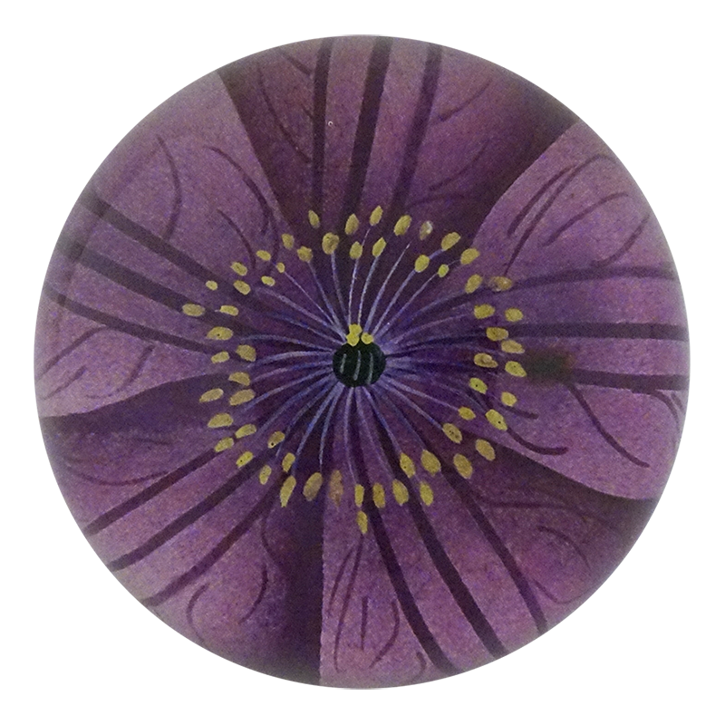 Jackmanii Clematis