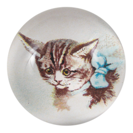 Kitten  - FINAL SALE