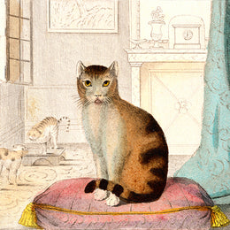 Calm Cat Silk Scarf imagery taken from the John Derian Picture book