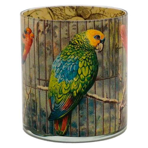 Parrots #2 (Yellow)