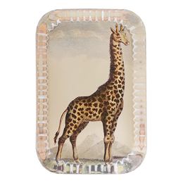 Giraffe Pl. 290