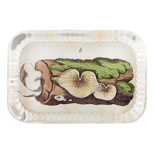 Mossy Log - FINAL SALE