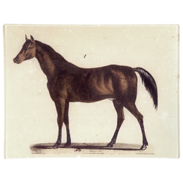 Horse #1