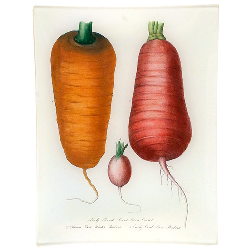 Short-Horn Carrot & Radishes